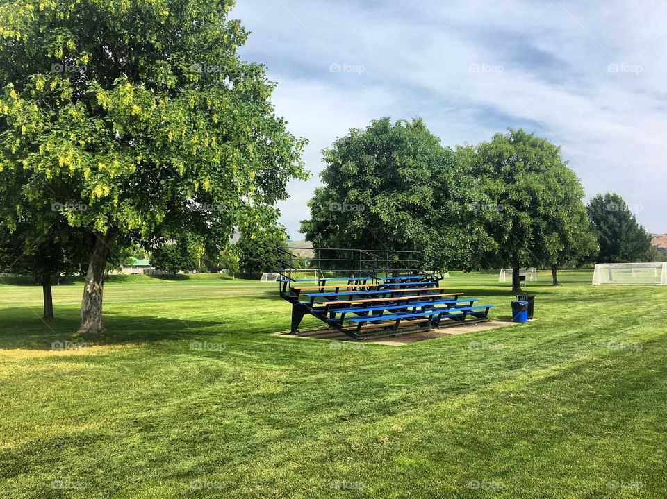 Sunny day at the park 
