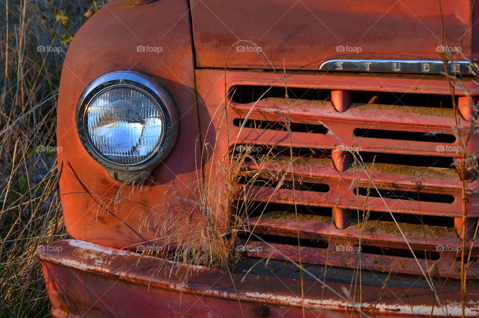 Studebaker love. Vintage studebaker in the field