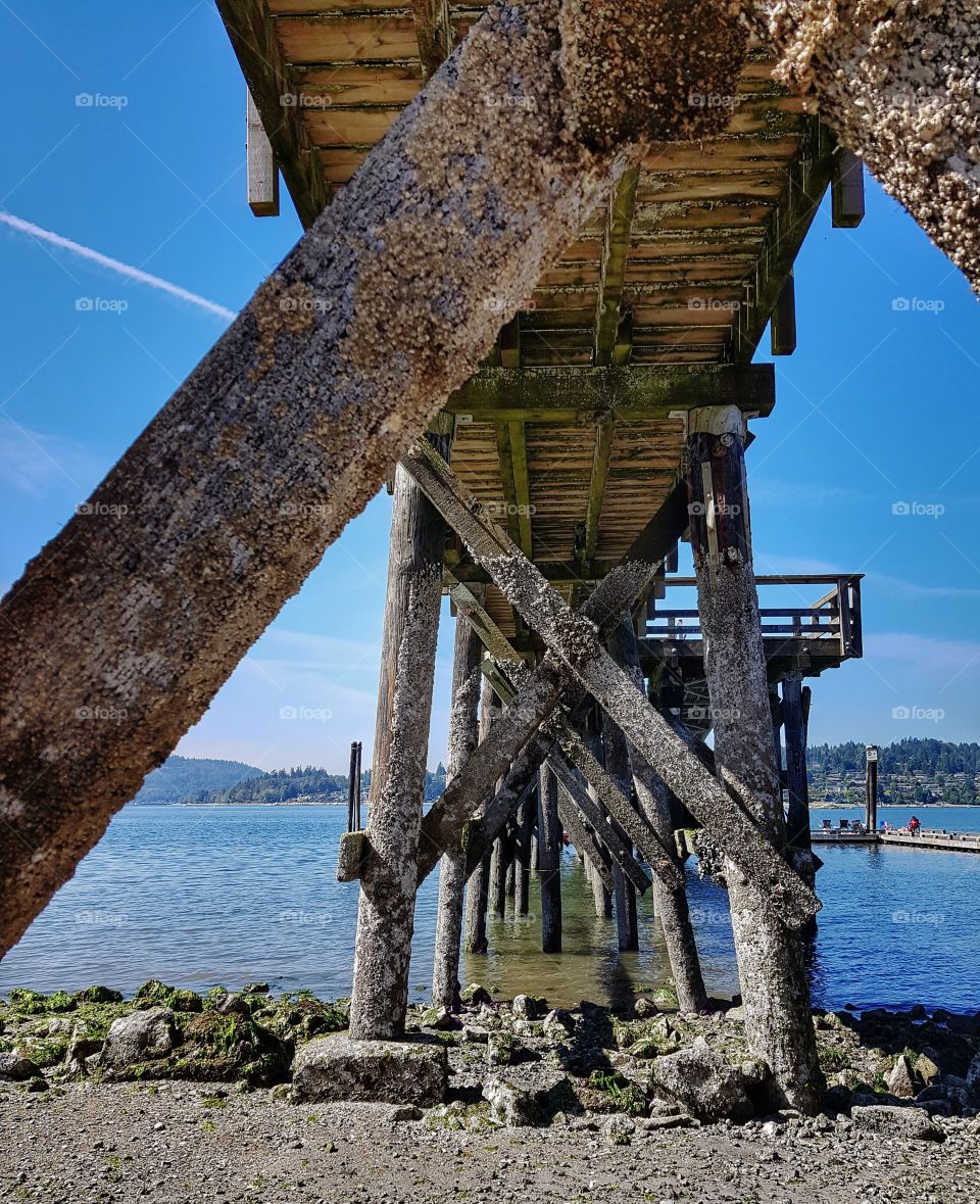 Under the pier at low tide.