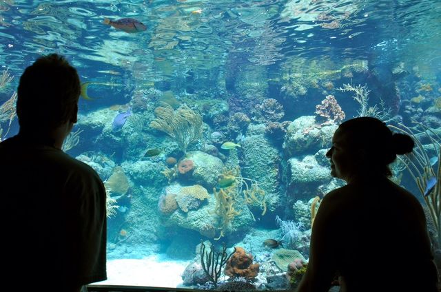 Xcaret Aquarium