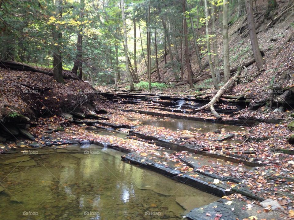 Creek bed