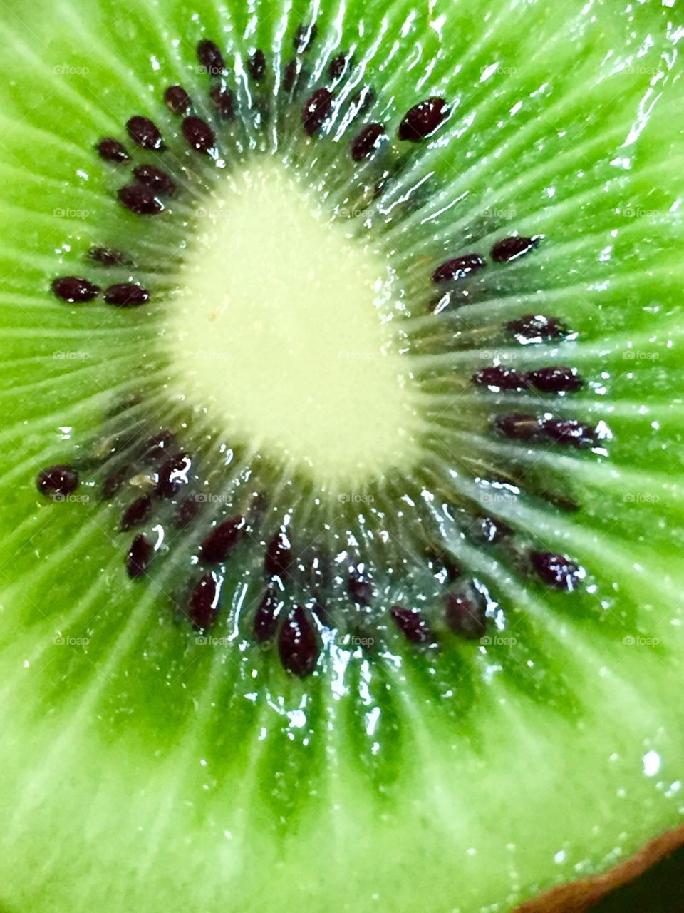 Kiwi 