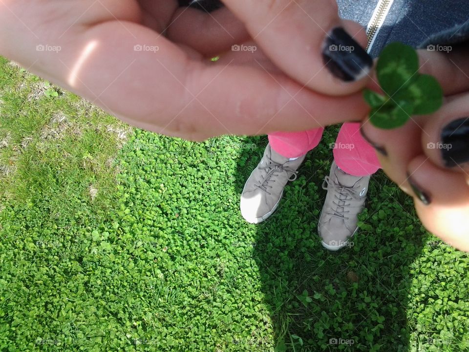 Standing in the clover at the park