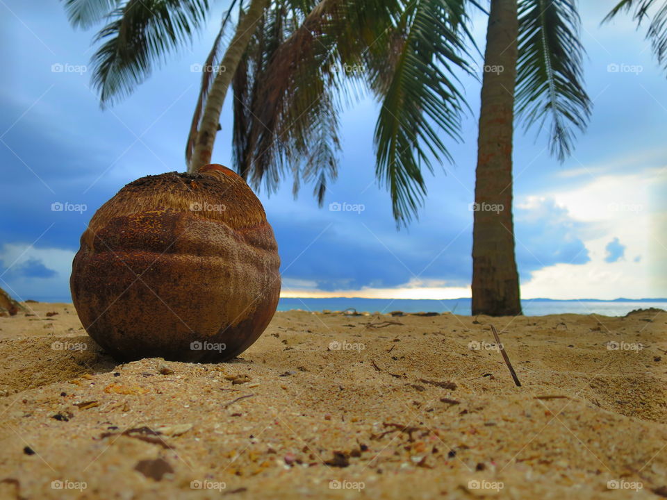 Beach, Sand, Tropical, Palm, Travel
