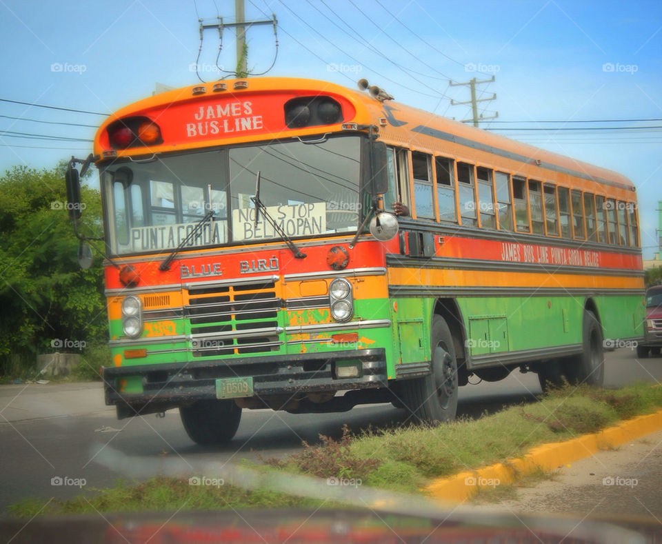 bus beliz by idanos