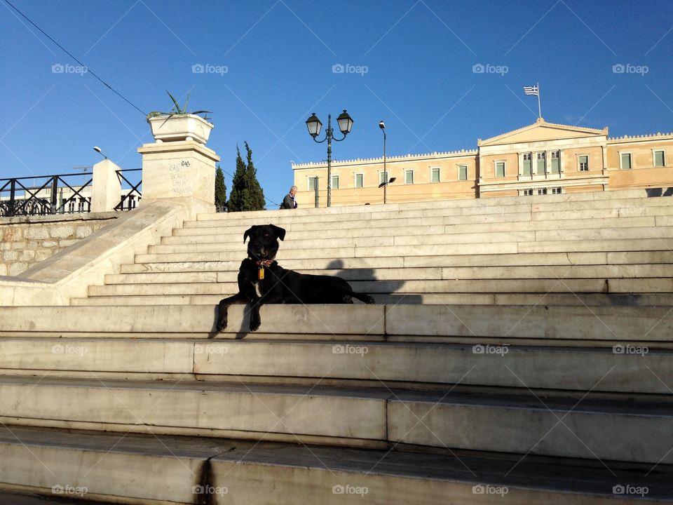 Architecture, Building, Step, City, Travel