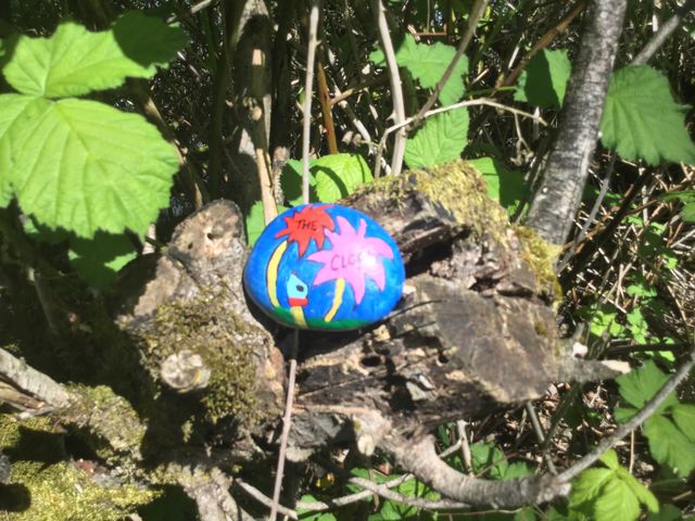 Painted Rock placed in the Park 