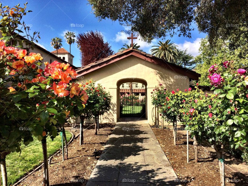 Santa Clara University