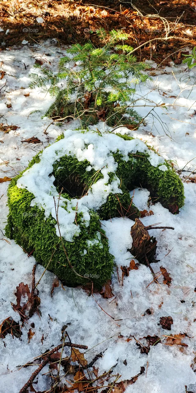 snow