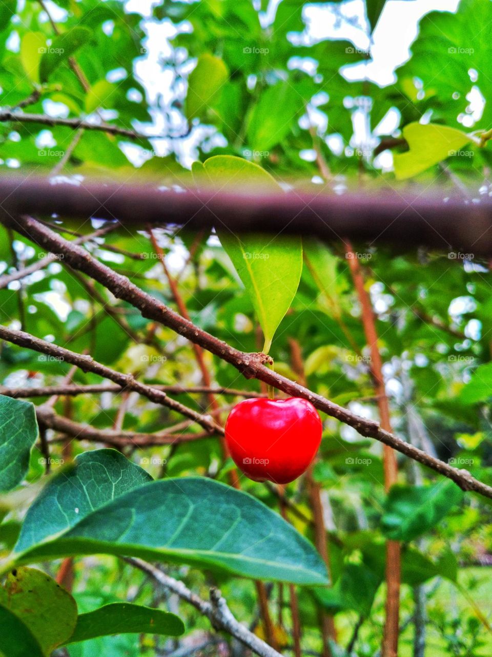 If you love nature, you will find beauty anywhere