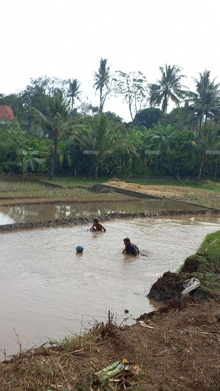 The excitement of small children playing in the rice fields