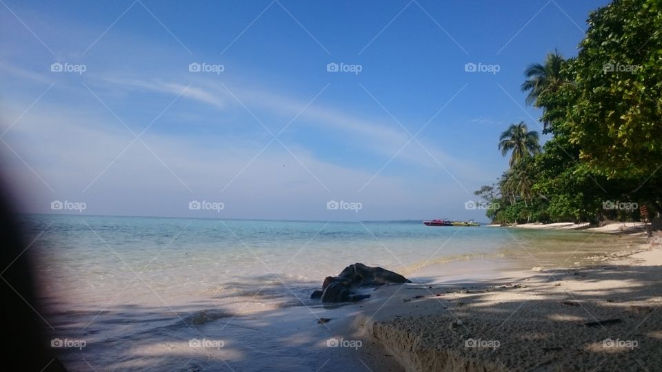 welcome to my paradise