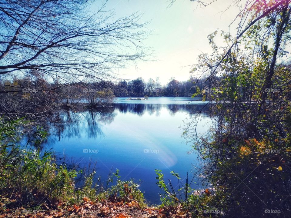 Mondo Pond in Milford, CT