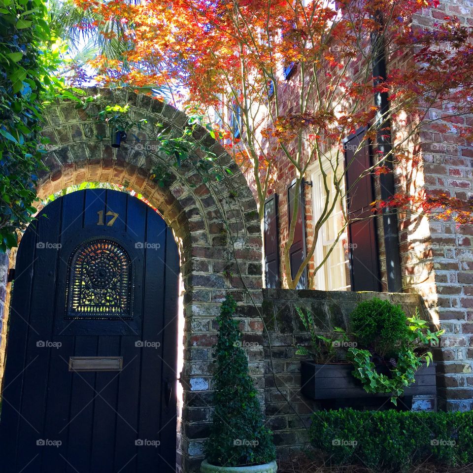 17 Charleston, Historic Downtown in the Fall