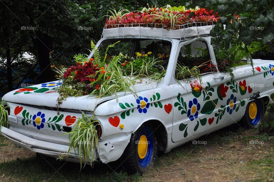 Old car with flower