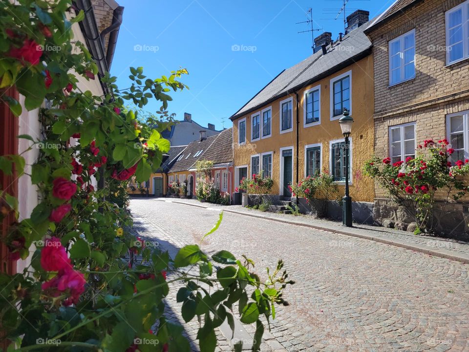 Adelgatan, pittoresque street of Lund, Sweden on the shiny summer sun.