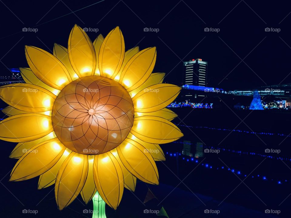 Yellow flower lantern with blue lights
