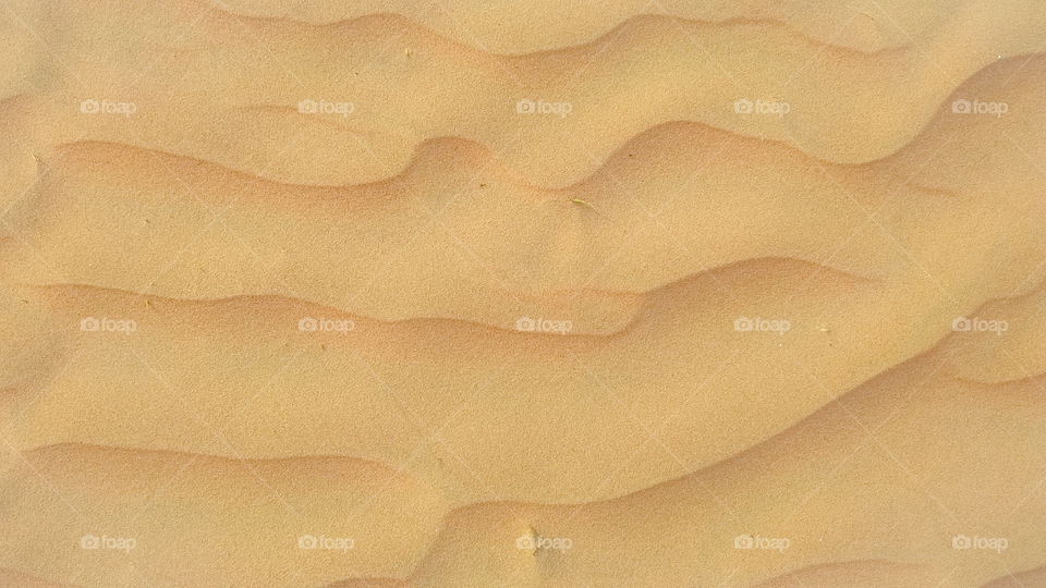 A closeup of sand dune texture