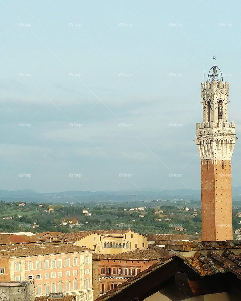 A view of Siena, Italy from the city's cathedral.  The Torre del Mangia of the Palazzo Pubblico is to the right.