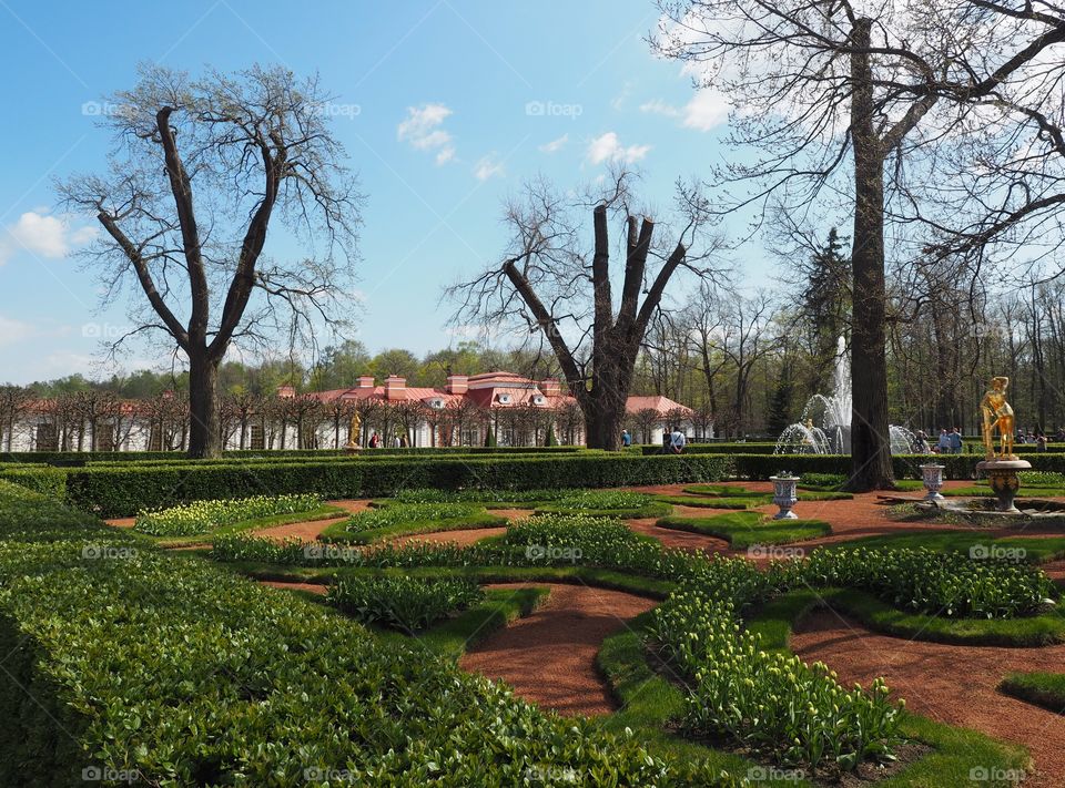 Peterhof. Garden