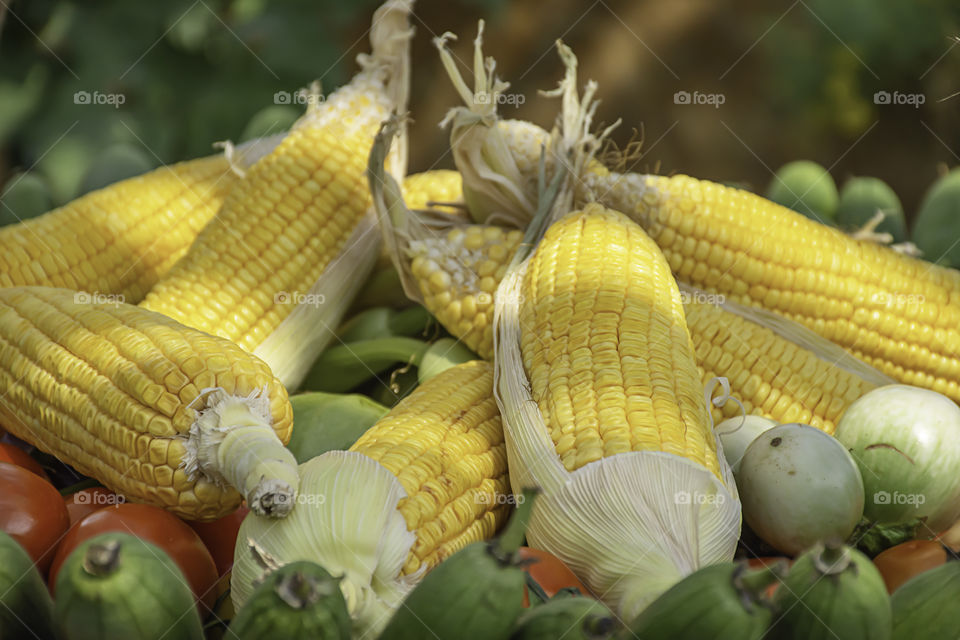 Tomato and corn The native vegetation of Thailand