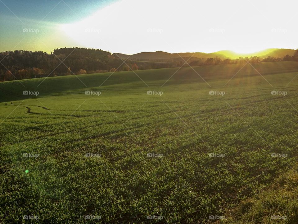 Sonnenuntergang über einem Feld