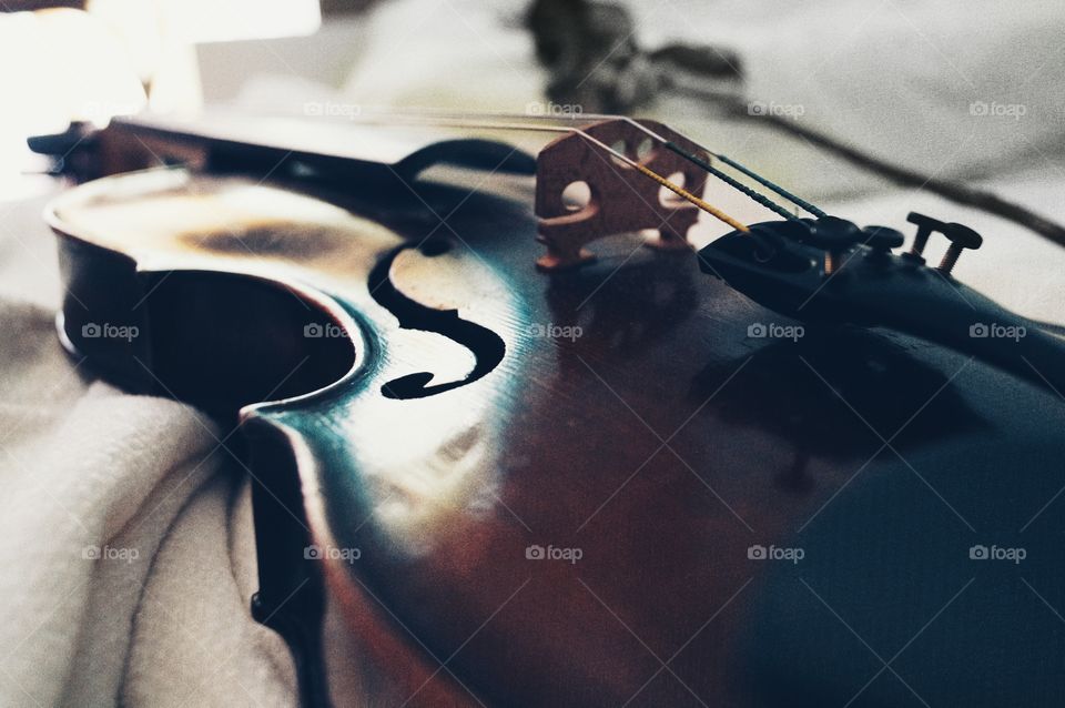 Musical instrument . my violin... ❤❤❤