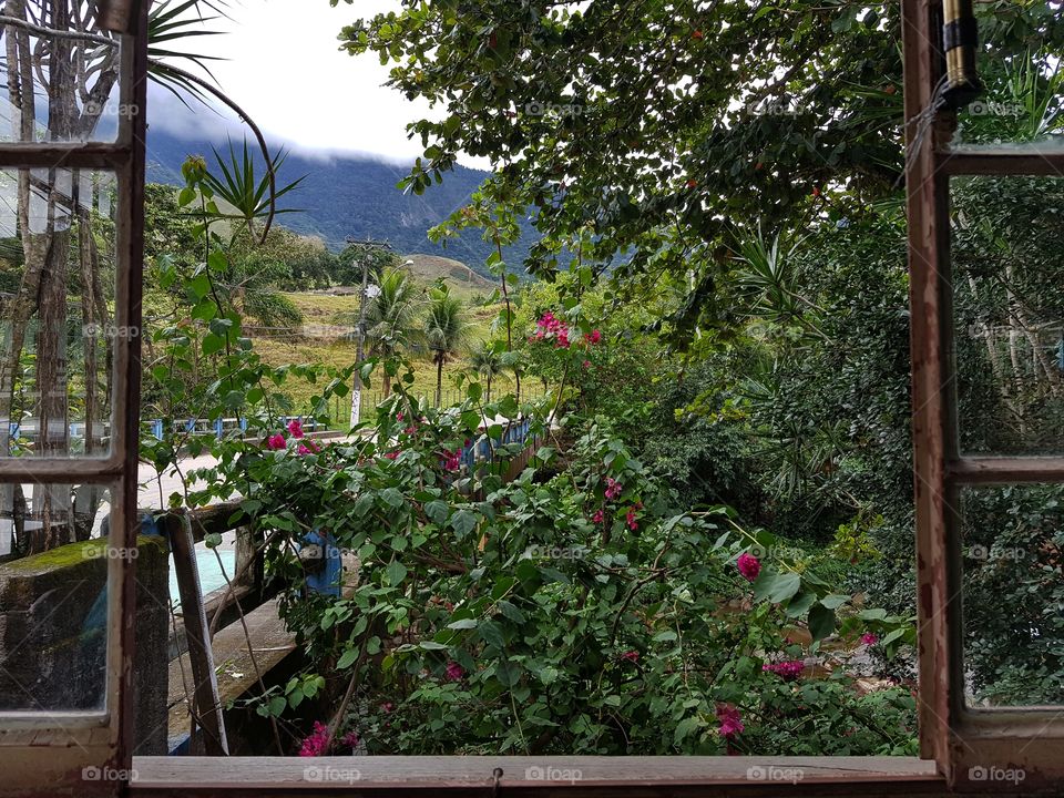 Countryside thought of the window