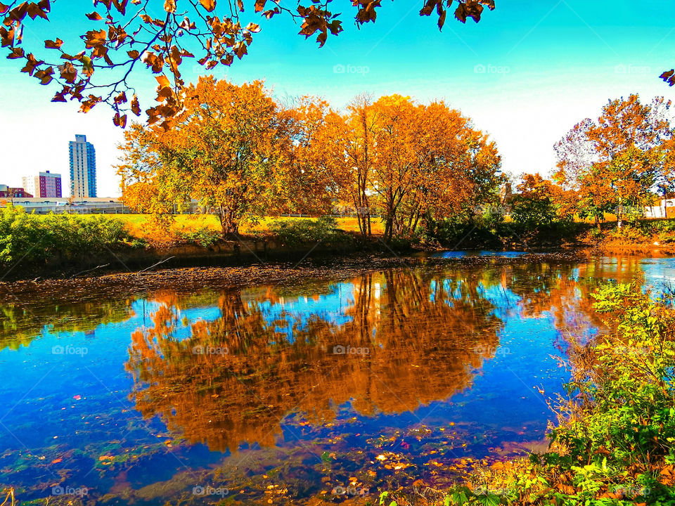 Autumn's River