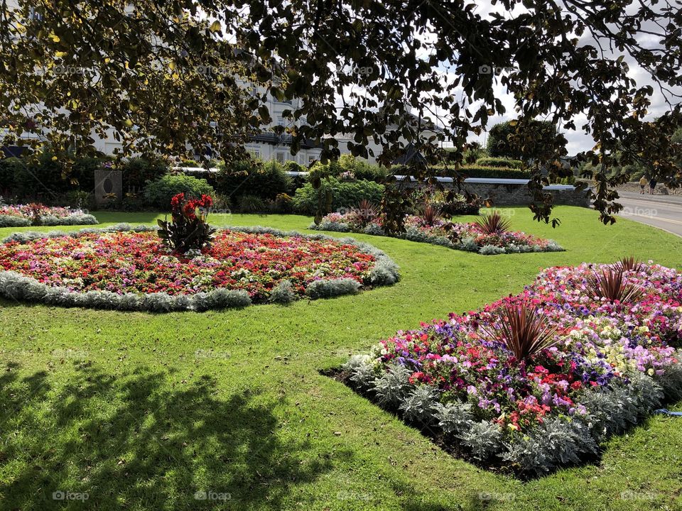 One of Barnstable town’s impressive gardens in full bloom in early autumn, a great splash of color.