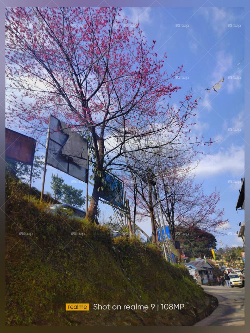 Our west side filled with beutiful environment 🌞💕