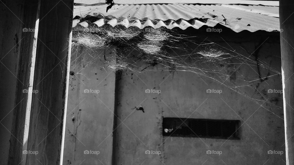 Just like spider webs behold tiny creatures, old houses too behold many memories, some which might fade with time while some are everlasting.