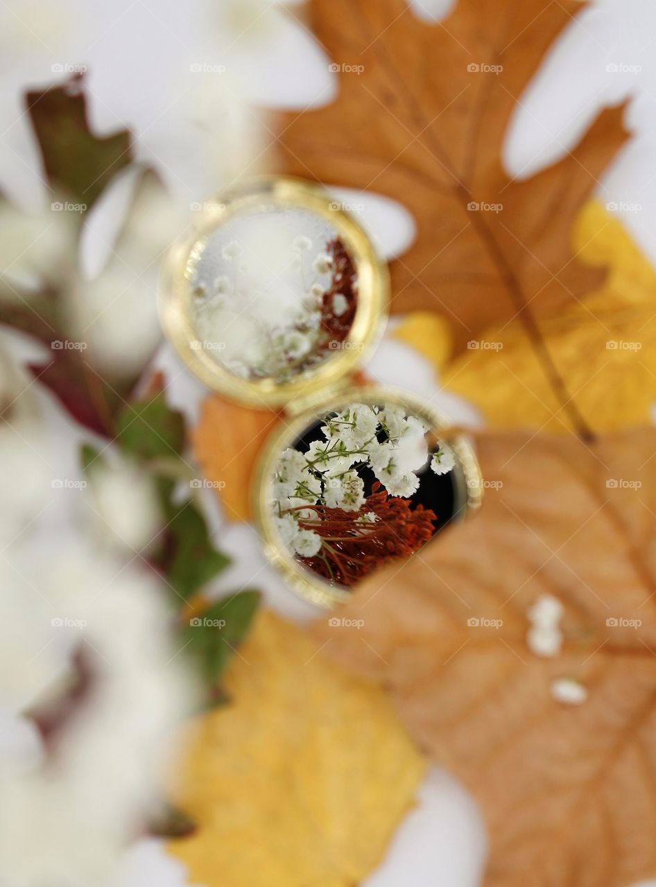 beauty looking at the mirror