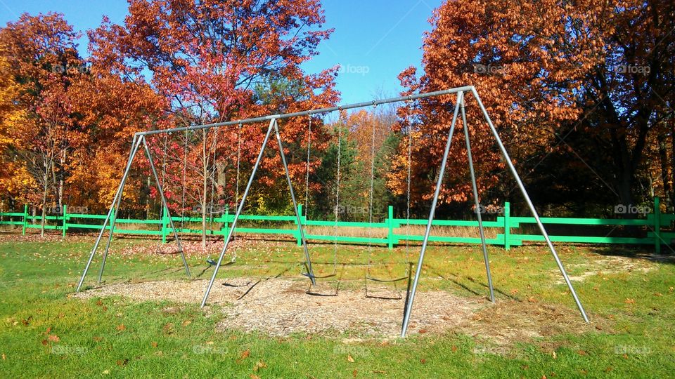 Fall, Tree, No Person, Park, Leaf