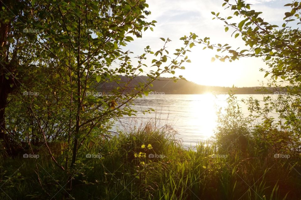 Sun setting over the Lake