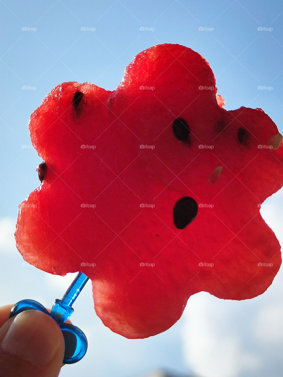 the watermelon is carved in the shape of a flower.  juicy red watermelon flower on a skewer against a background of blue sky and sun