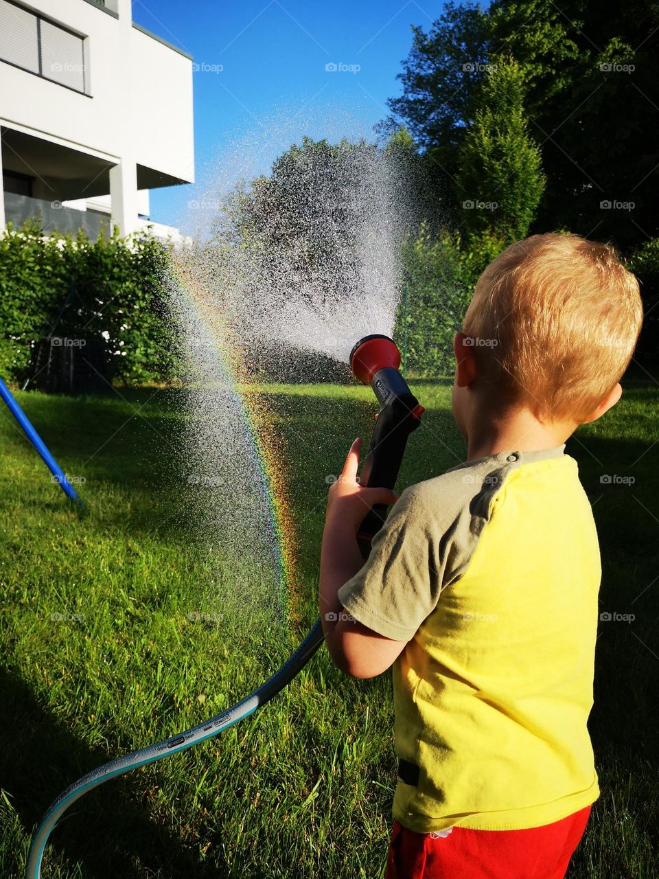 Regenbogen