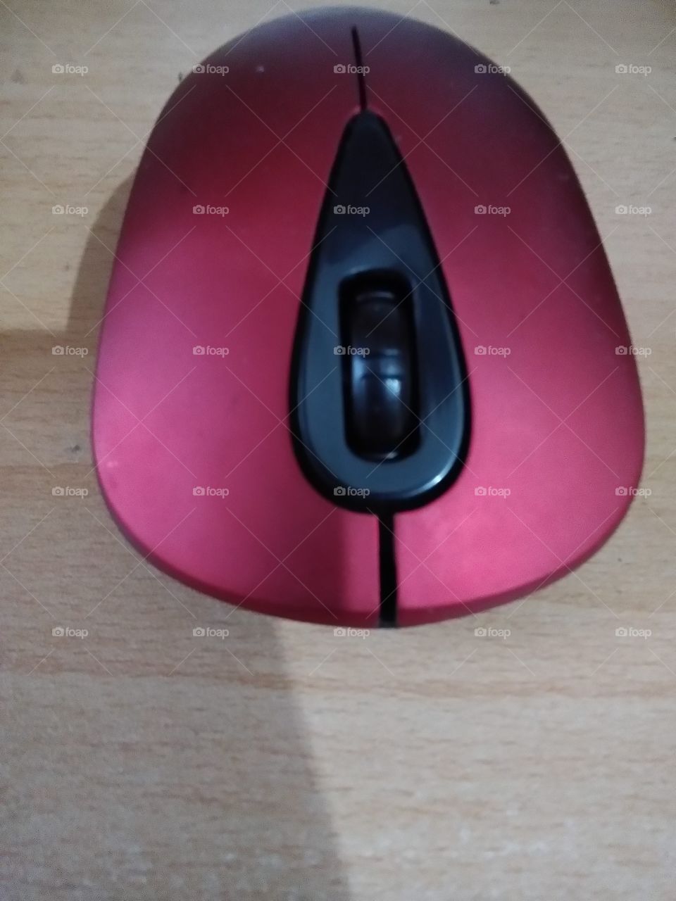 mouse