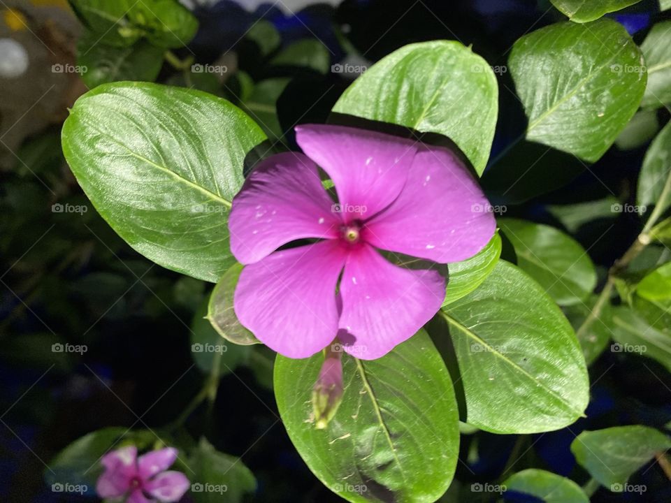 Amazing photo for home in Jeddah city 🏡