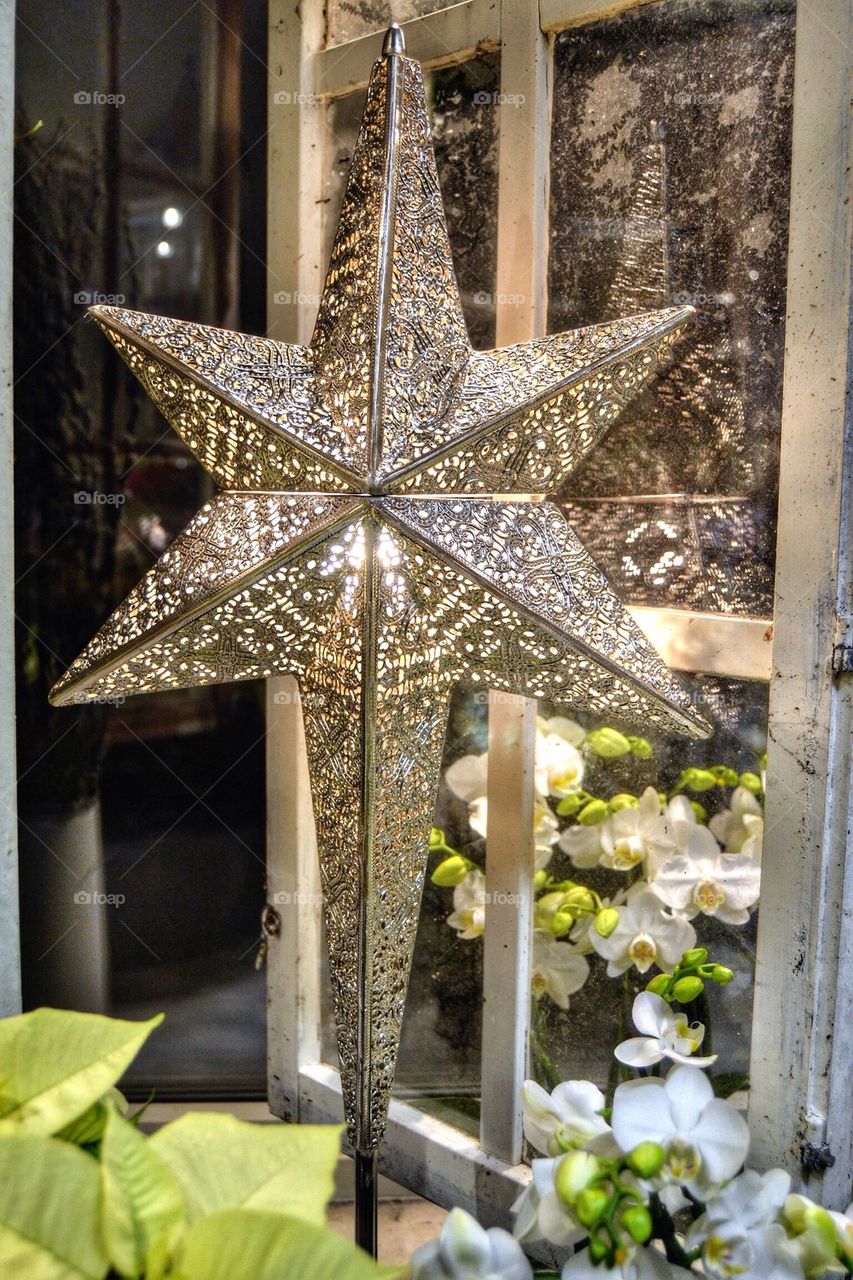 Christmas star