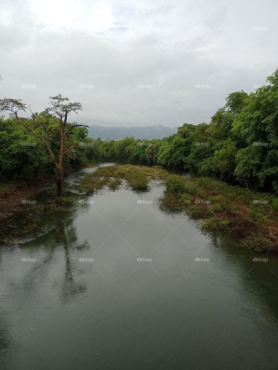 Beautiful view of the nature in a u turn shep it's lucking amazing with nice green background