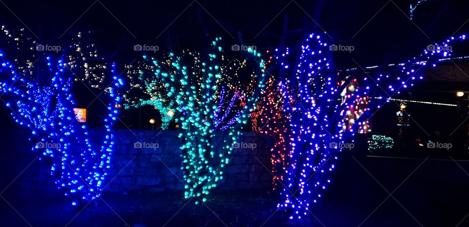 Christmas tree lights in bensenville