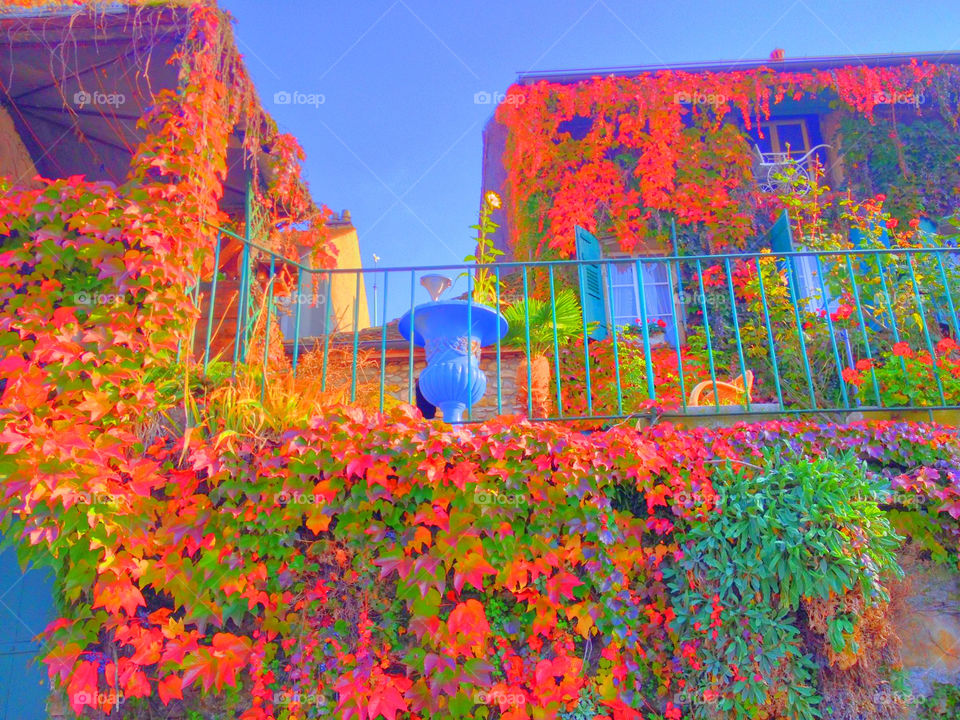 missio5 just autumn lutry by swisstraveler