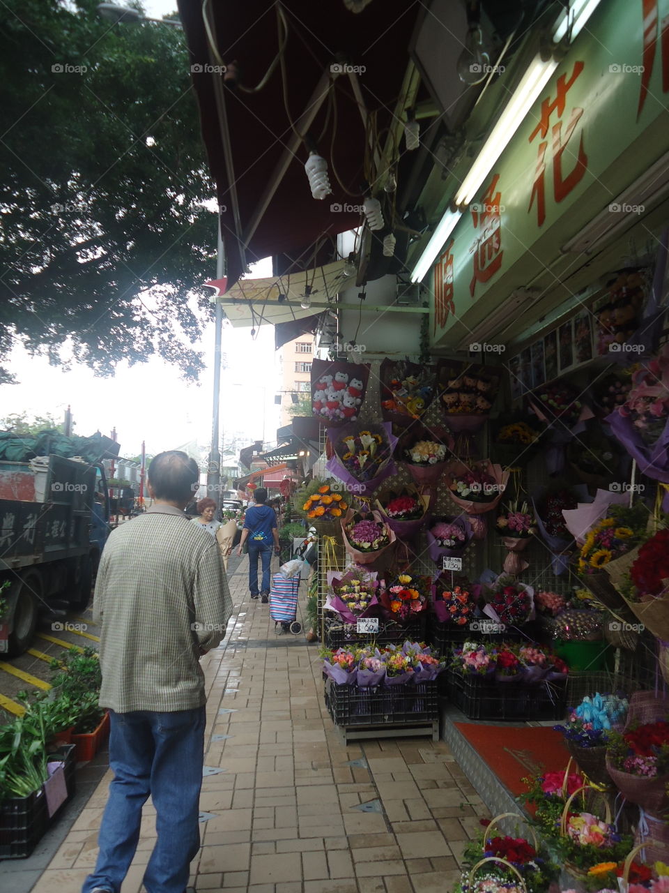 flower market. did not forget to visit the hk flower market on our trip