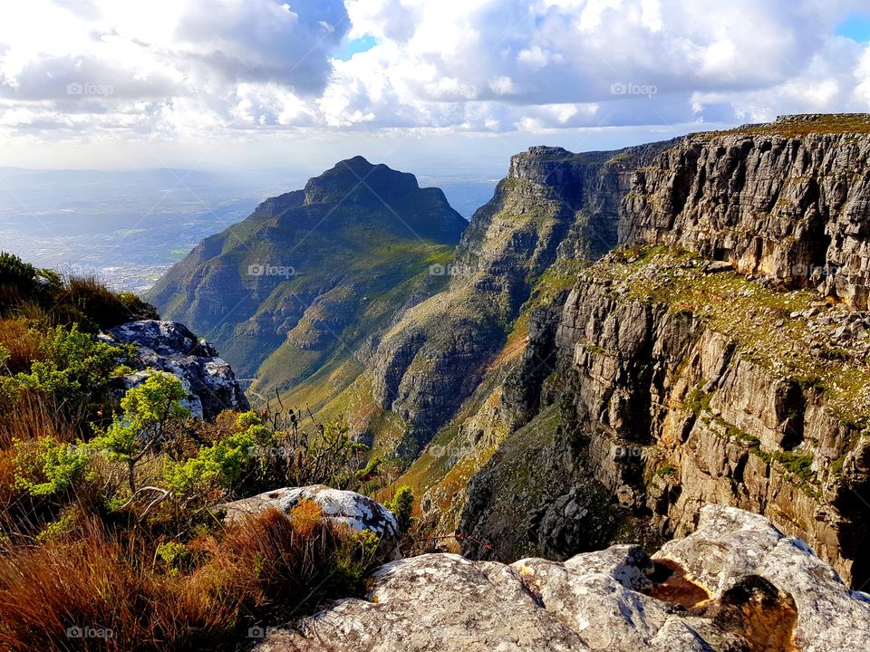 Table Mountain National Park