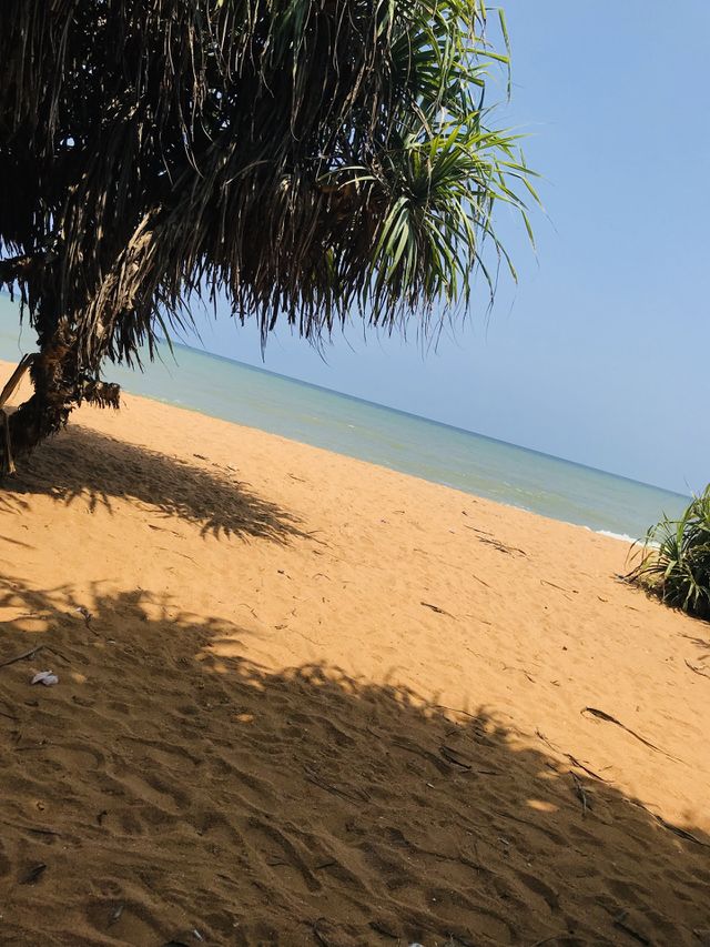 beach