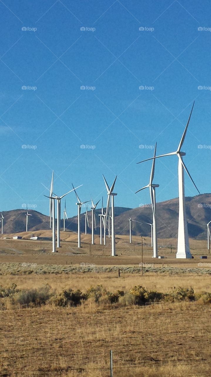 Field of Turbines
