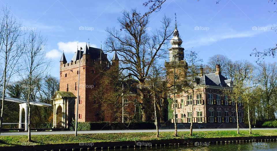 Nyenrode Business University