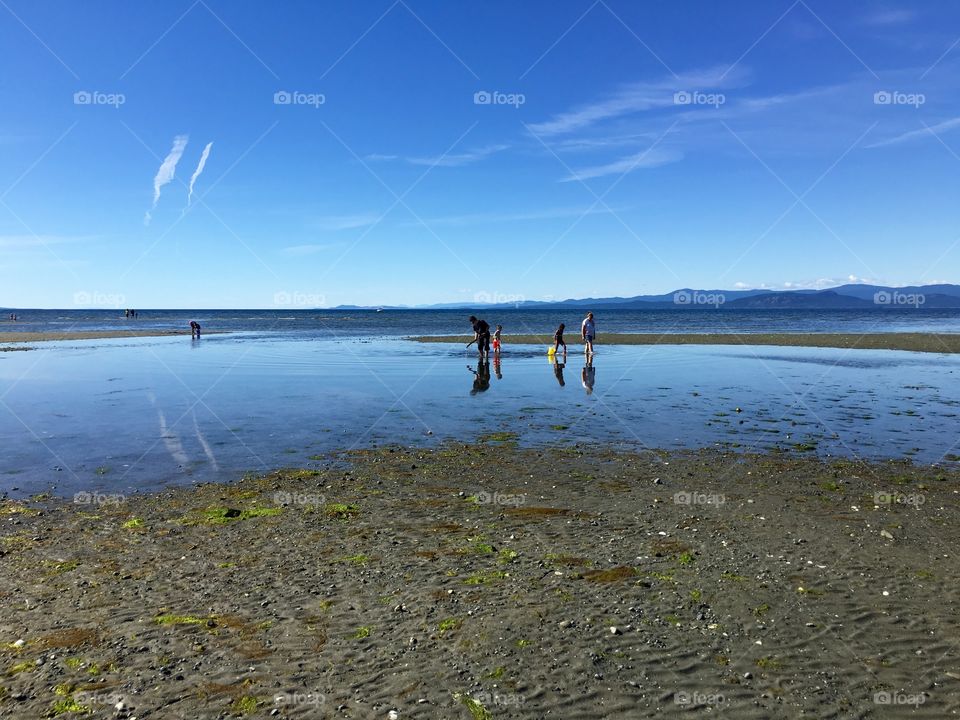 People on the beach