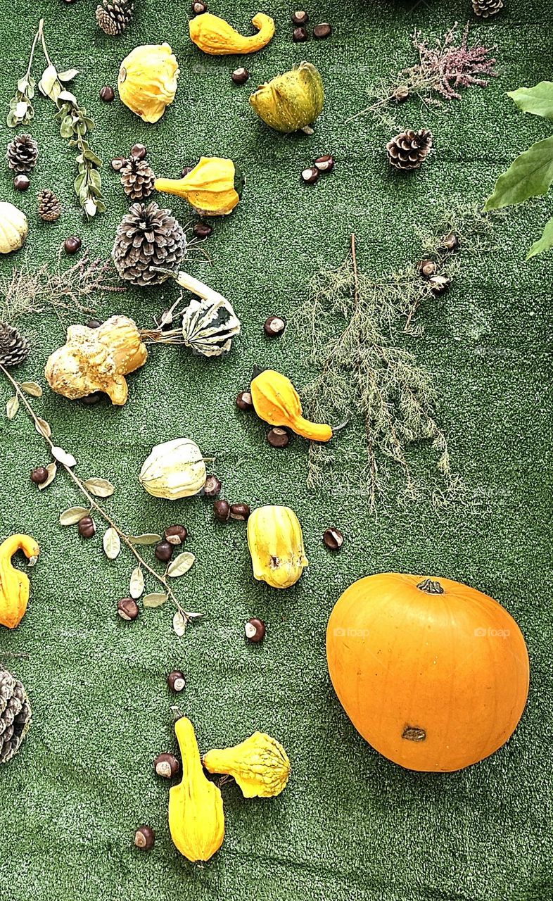 Spirit of halloween in Deauville